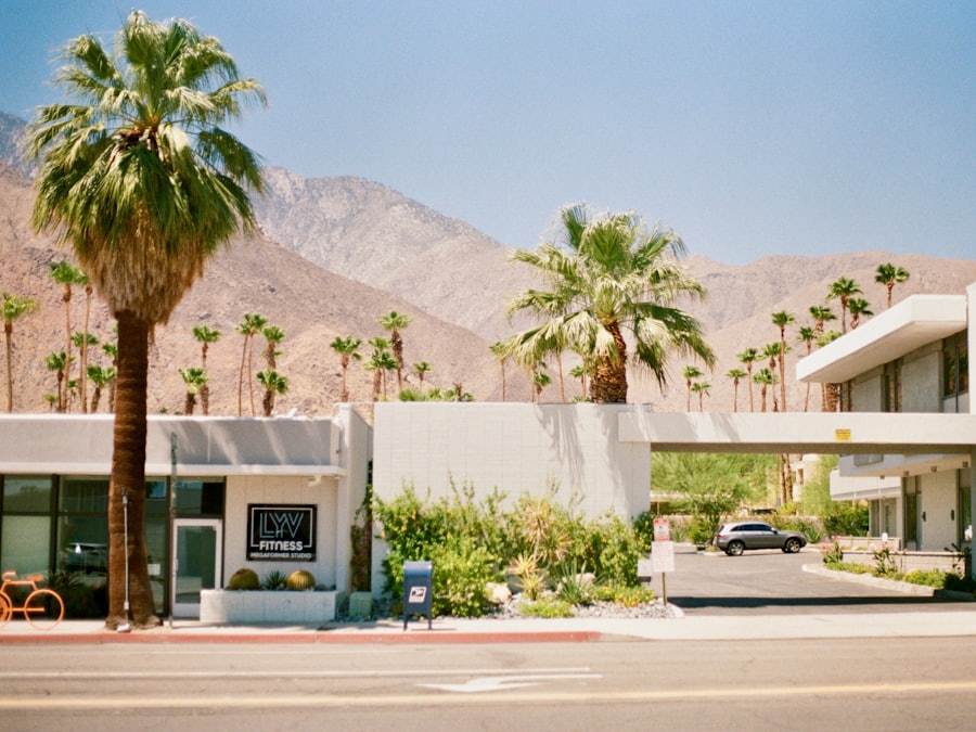 A mid-century desert property lined with tall palm trees on a sunny day.