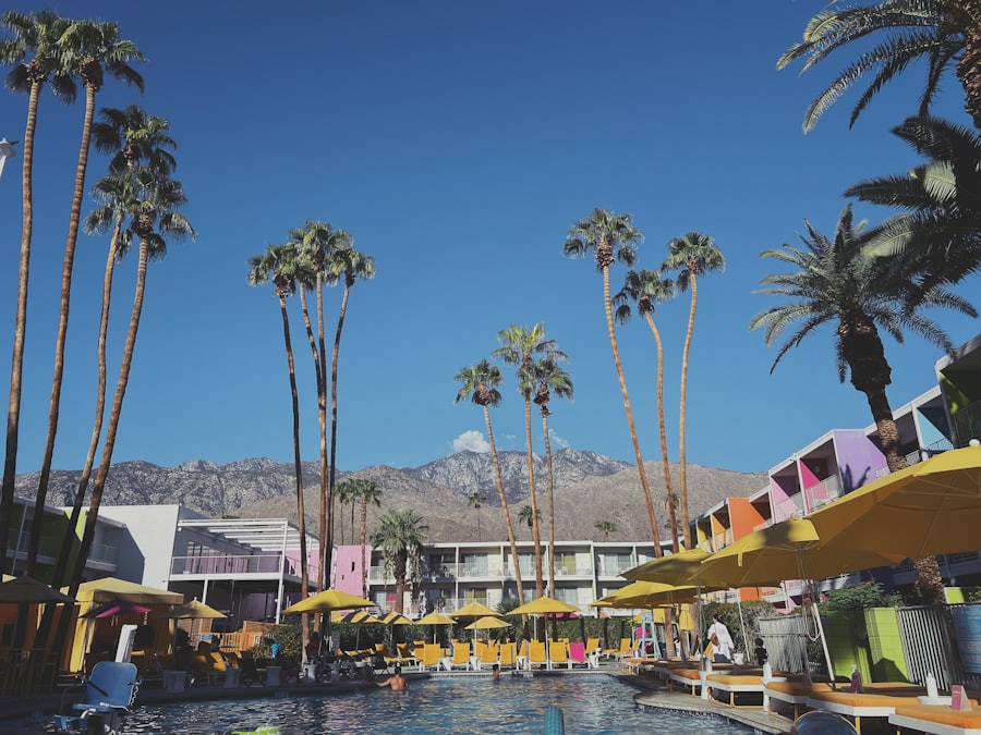 A resort pool surrounded by tall mature palm trees against a bright blue sky.