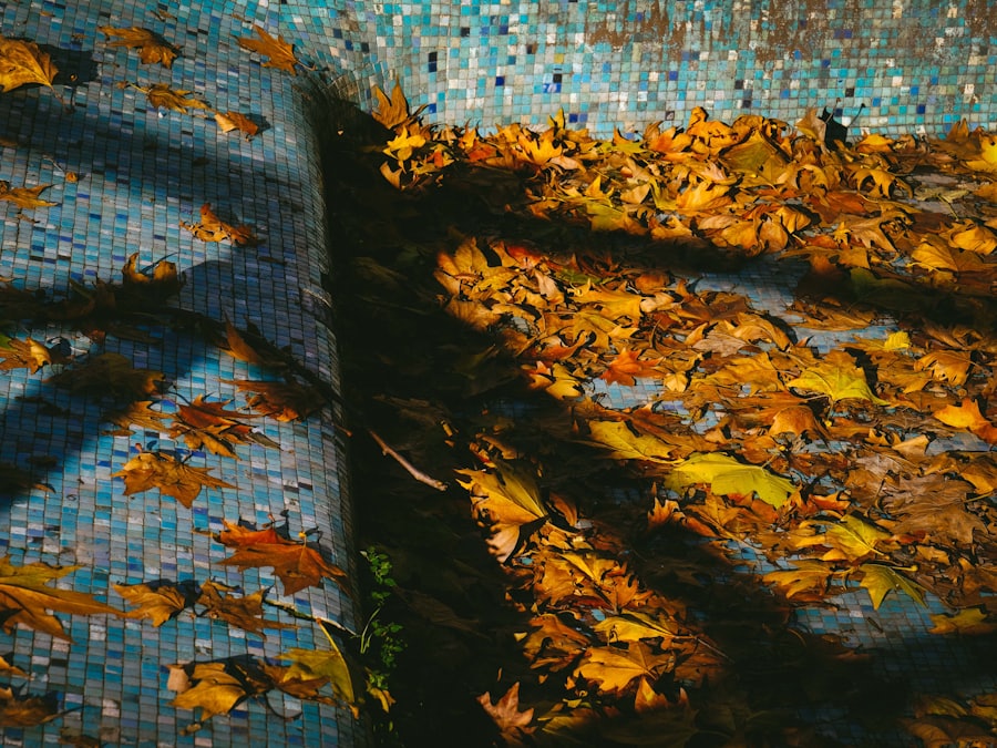 Fallen leaves collected on the surface of a pool above mosaic tile.